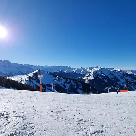 Les Du Petit Apartment Chatel